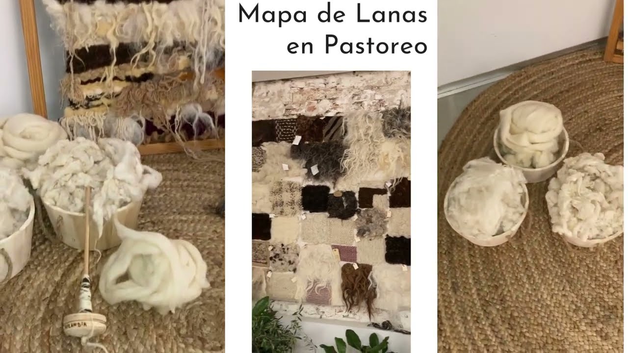 Pastoreo en Madrid 2022