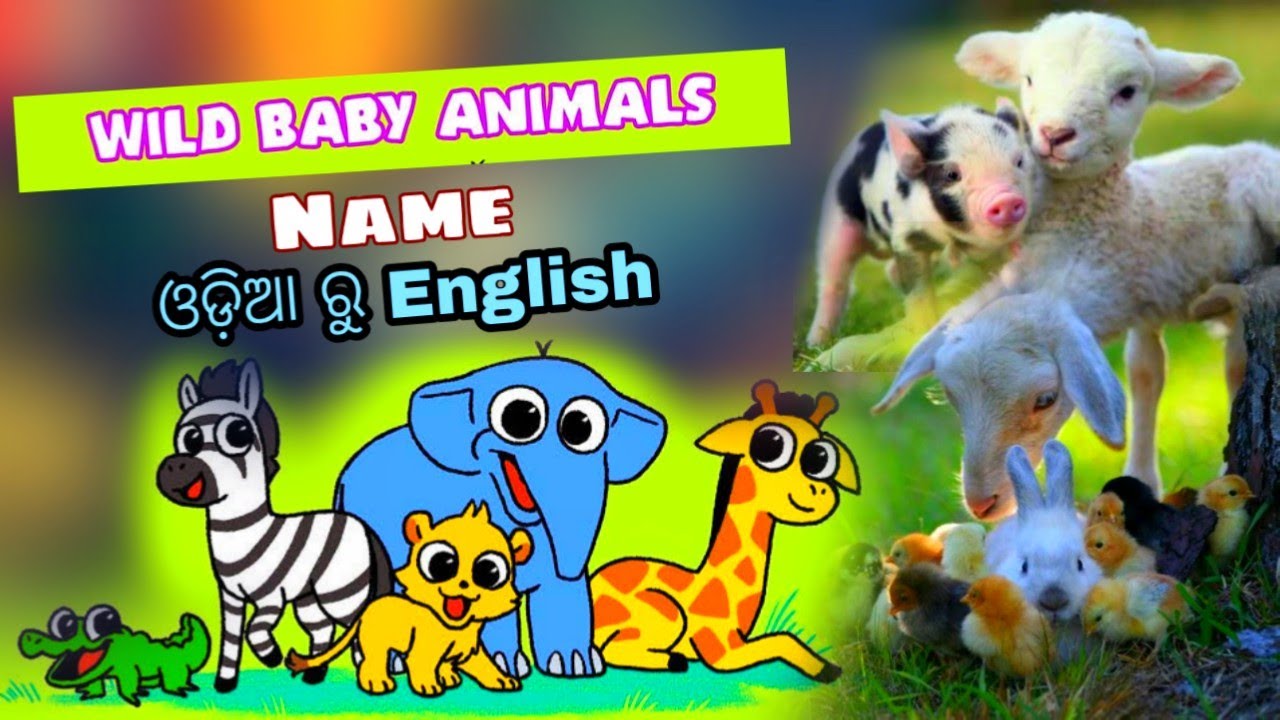 Animals child name ! Animals with Pictures | Animal Names in English |Vocabulary