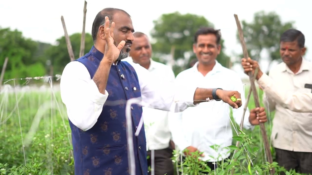 SCTवैदिकमिरची🌶️30 गुंठ्यांत 2 लाख॥मधेच केमिकल वापरले तर काय होते⁉️एकच शेतातले  शेतकऱ्यांचे प्रयोग‼️