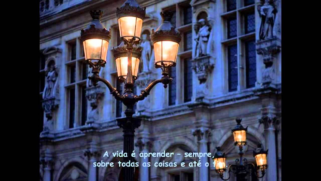 Das Leber - A Vida