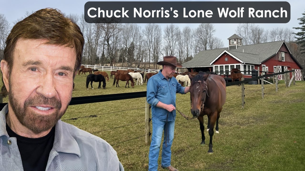 Chuck Norris&rsquo;s Lone Wolf Ranch &ndash; The Action Legend&rsquo;s Real Country Lifestyle Revealed