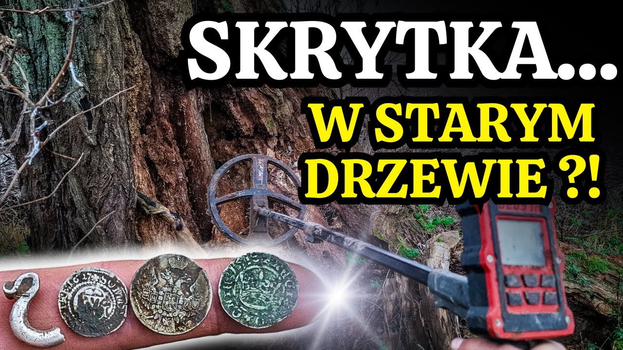 SZOK co ja tu znalazłem ! Stare drzewa i pola na których leżą niesamowite przedmioty ze srebra !!!