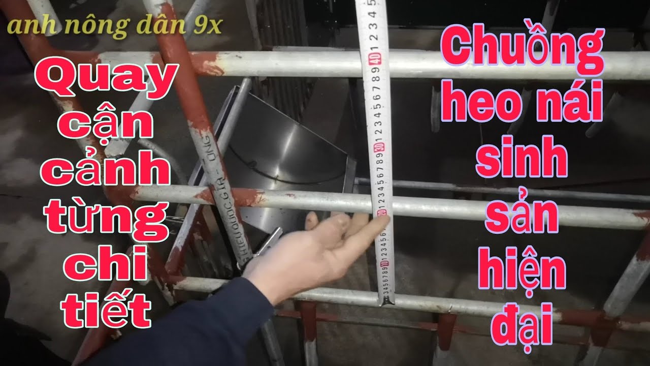 Từng chi tiết, từng bộ phận của chuồng nái sinh sản để làm tại nhà