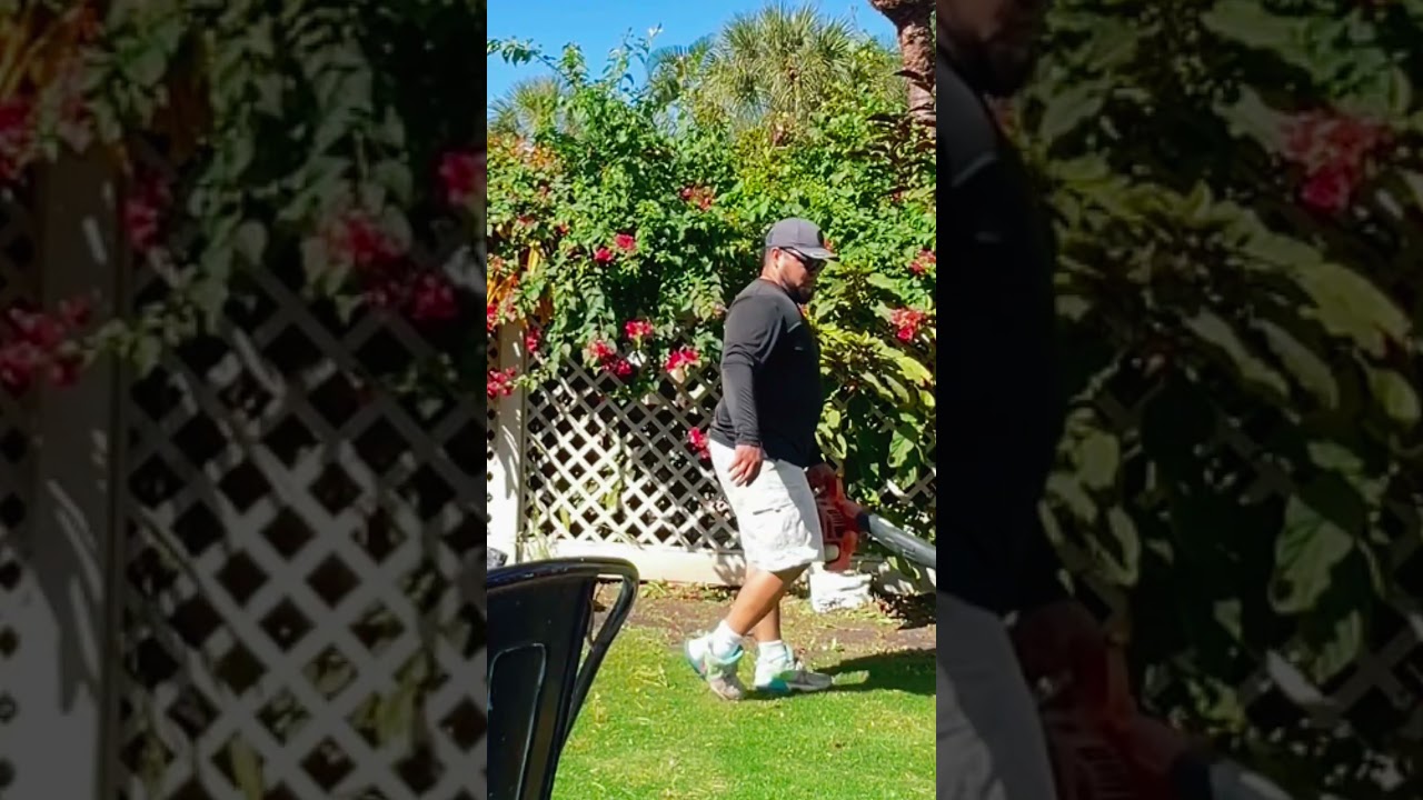 🌱 Corte de yarda profesional en Bradenton, Florida | Y&T Lawn Care #landscape