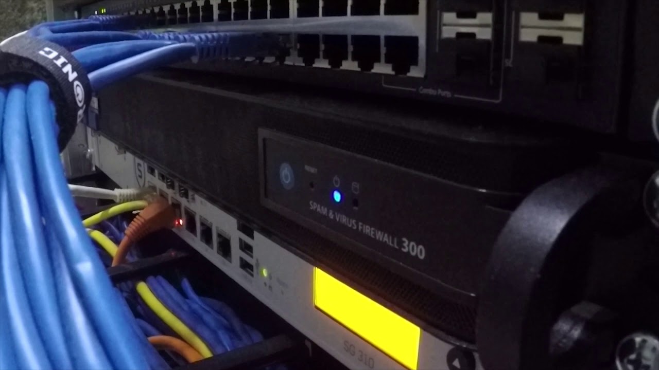 My Lab and an Idea!!
