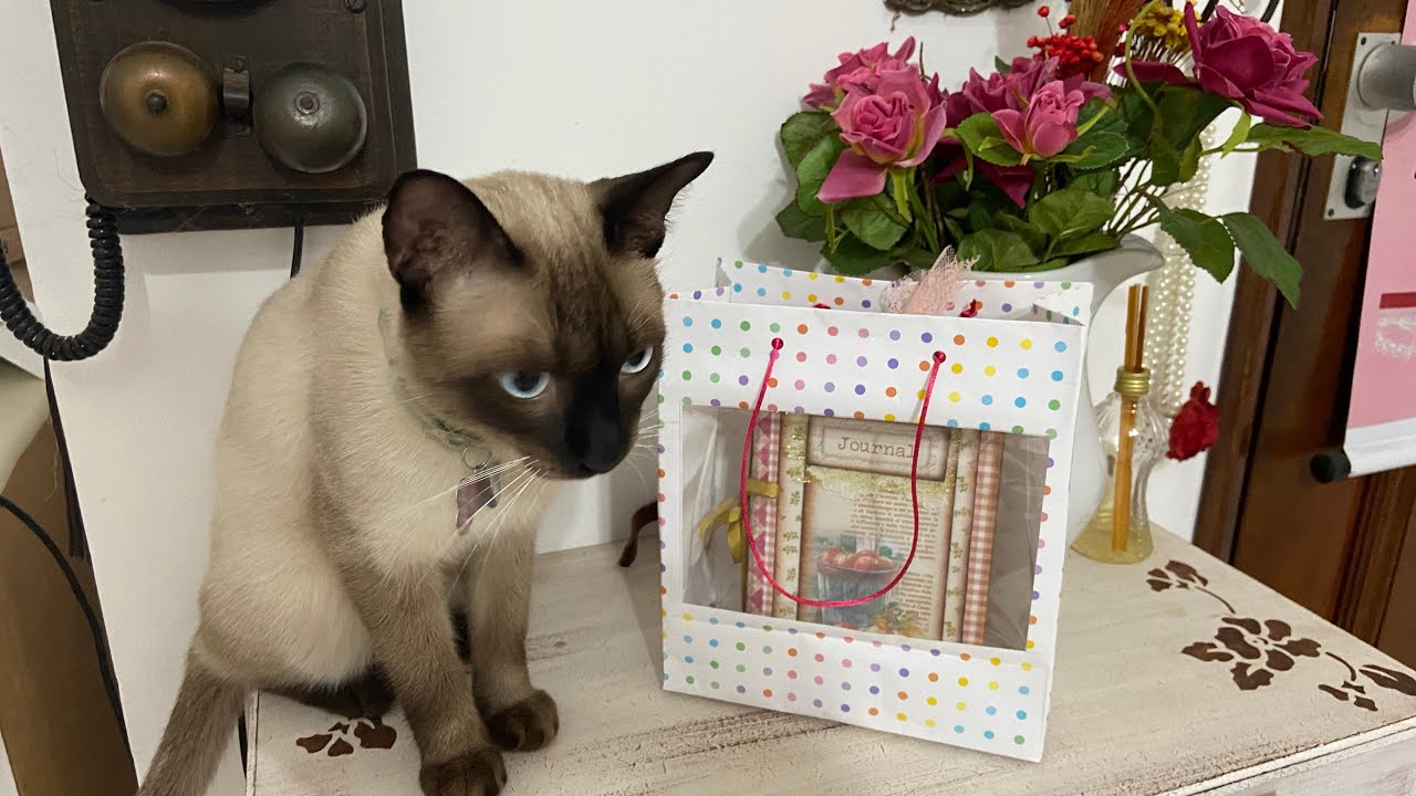 Como fazer uma sacola de presente - Sacola com visor fácil