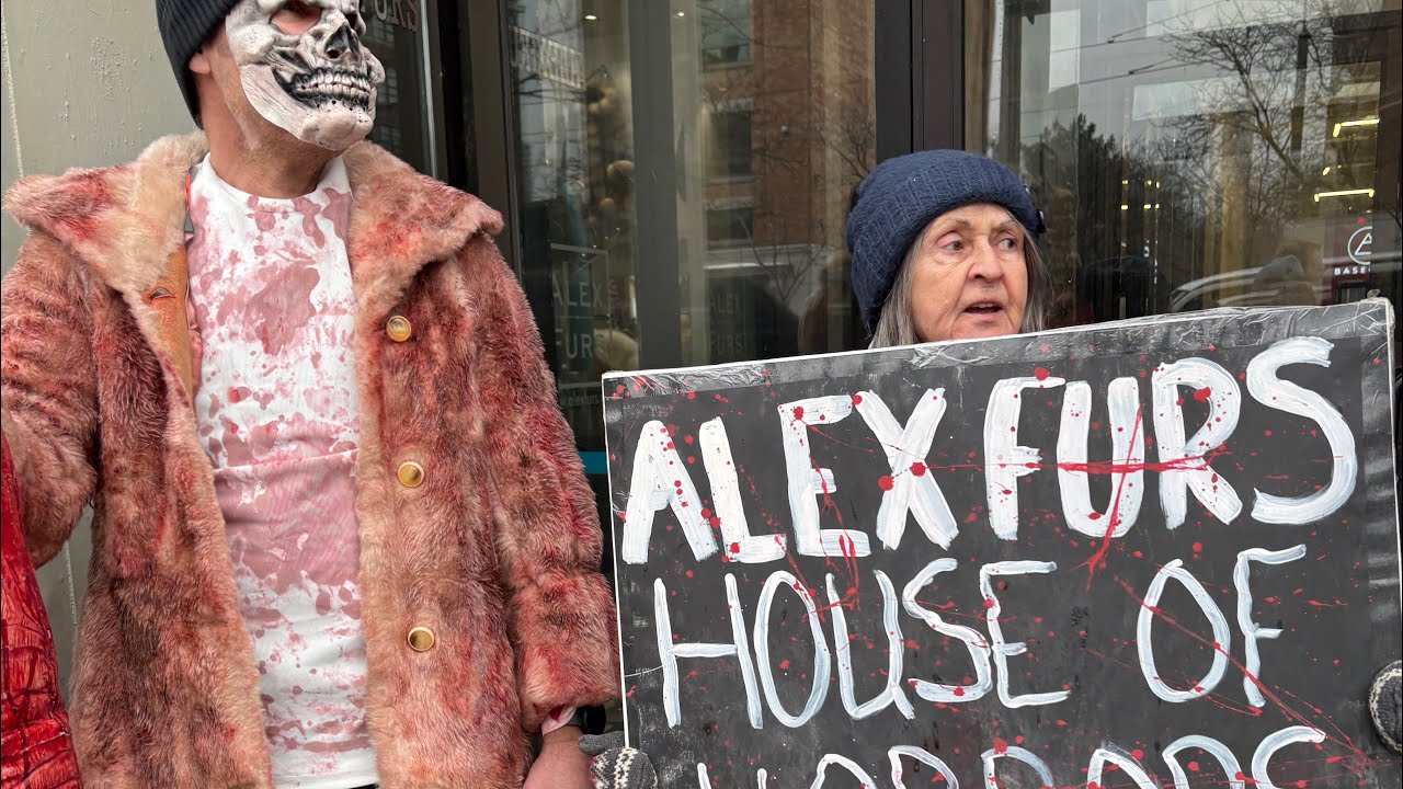 Join a live protest outside a full furrier - Alex Furs  with FurFree Toronto.