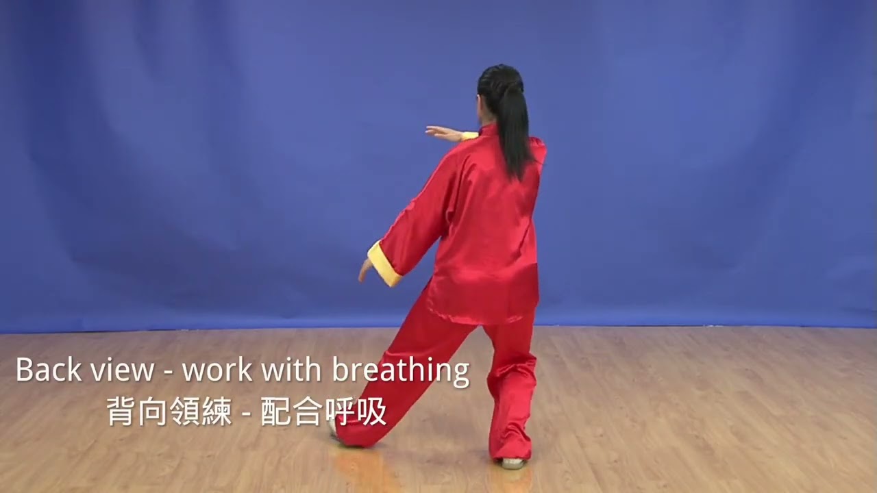 Yang-Style Tai Chi 13 Form - Forms 8-9    楊式太極拳基礎入門十三式 - 第8-9式 領練