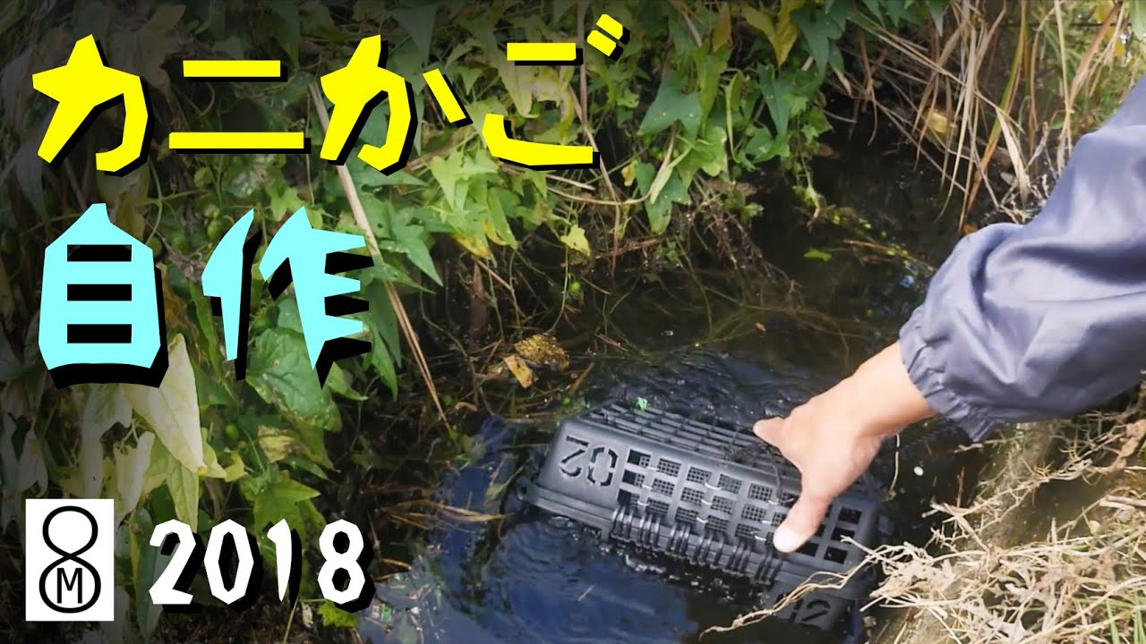 自作のカニかごでカニを捕る【2018年型】