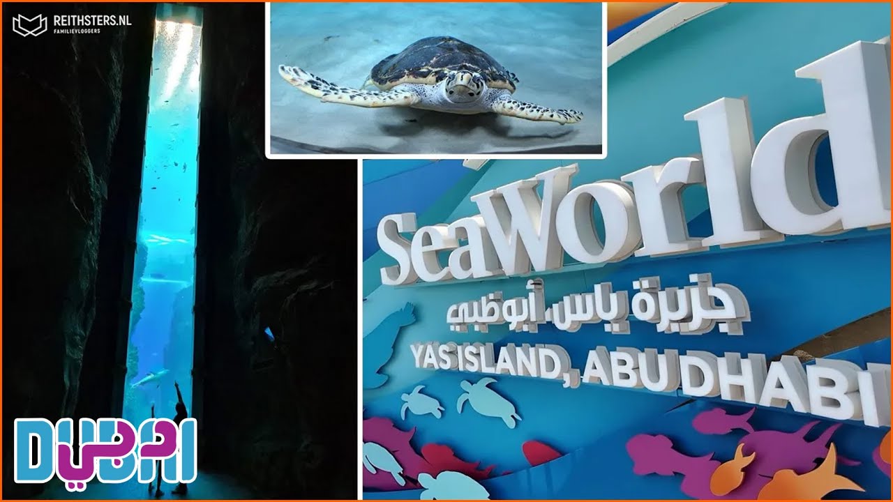 WE BEZOEKEN SEAWORLD IN ABU DHABI!🐬 - VLOG #599