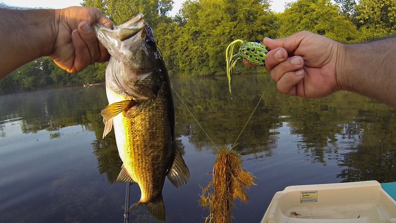 POND BASS FISHING (MIDWEST ROAD TRIP) TOPWATER FROG!