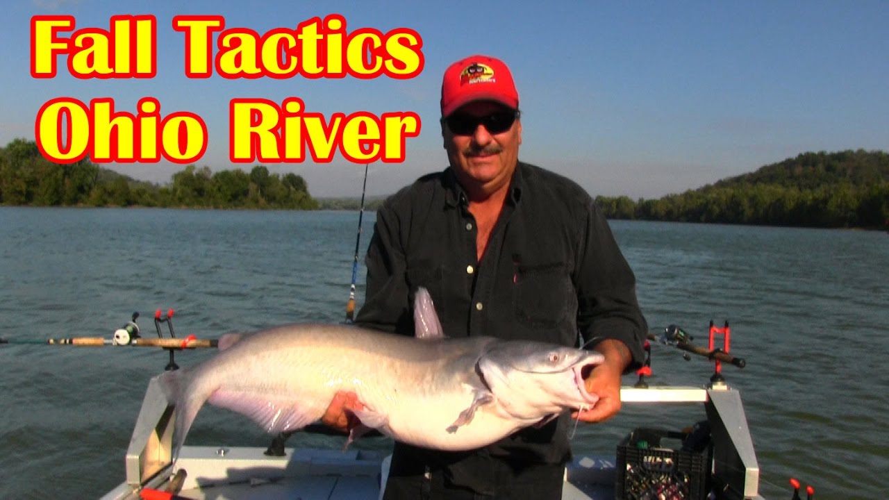 Catfishing tips: How to catch catfish on the Ohio River
