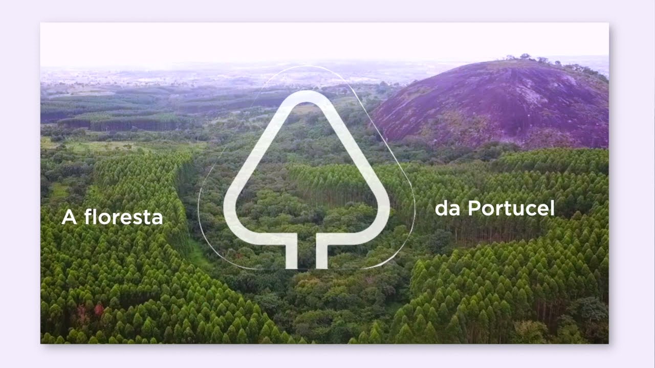 Portucel Moçambique - Modelo Mosaico