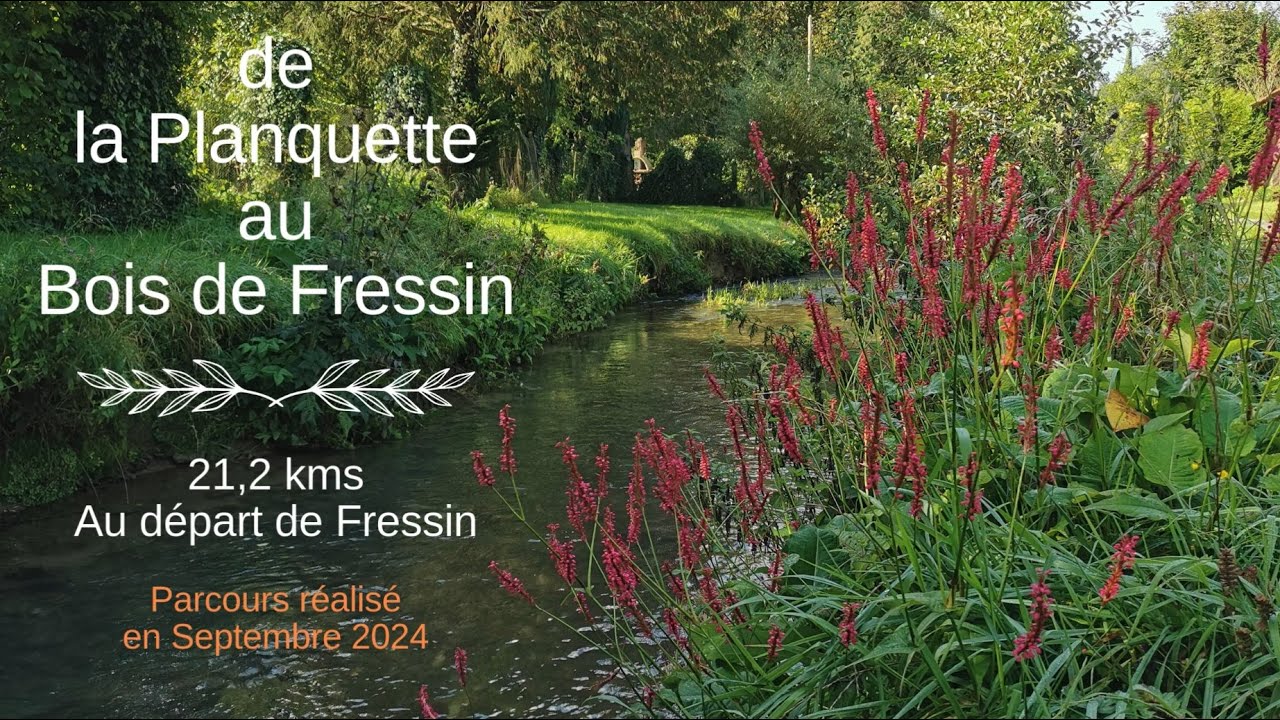 De la Planquette au Bois de Fressin