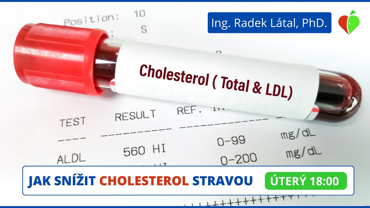Jak snížit cholesterol stravou