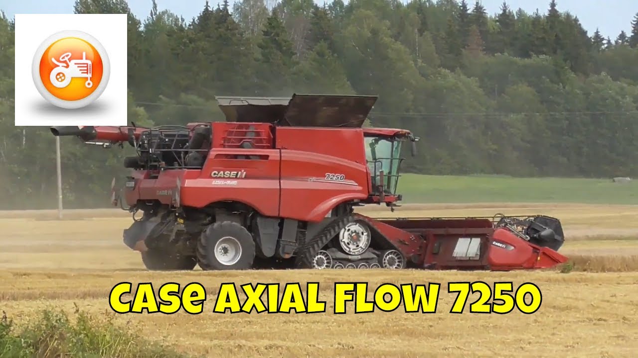 Harvest 2019 | Case IH Axial Flow 7250 tracked combine working