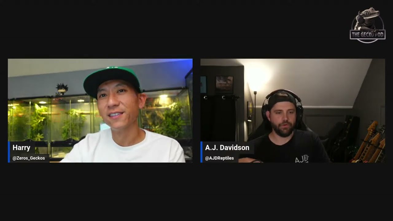 Ep. 80 | Live Pod Q&A Chat