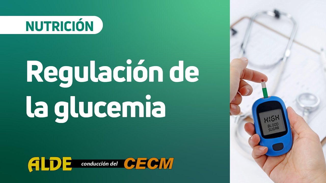 Regulación de la Glucemia | Clase de Repaso Nutrición