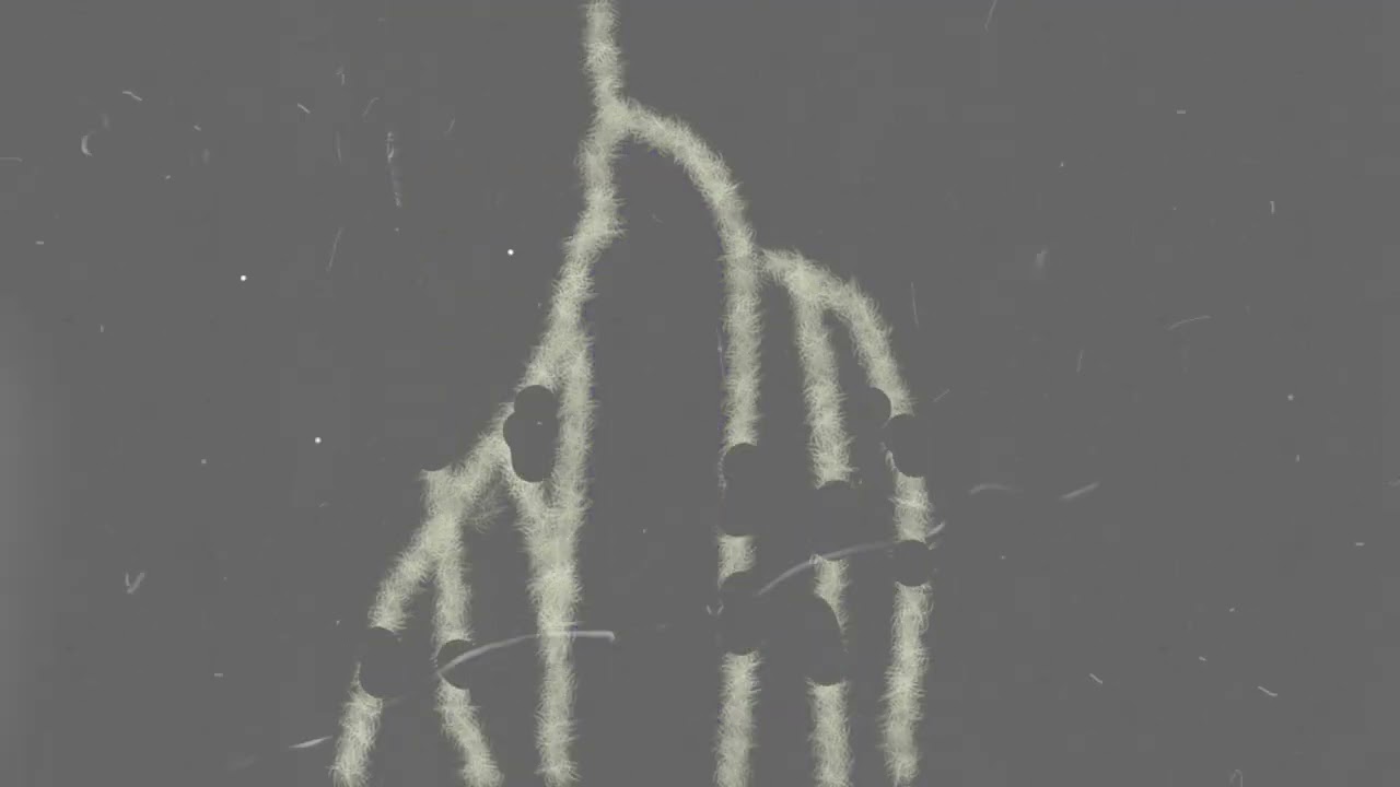 my regret / invisible - Official Music Video