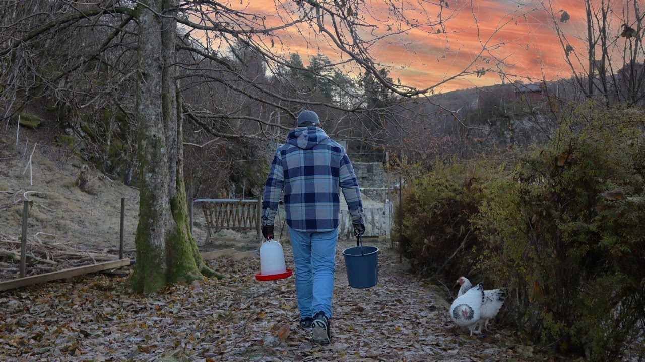 Life On a Homestead - Our Daily Routine