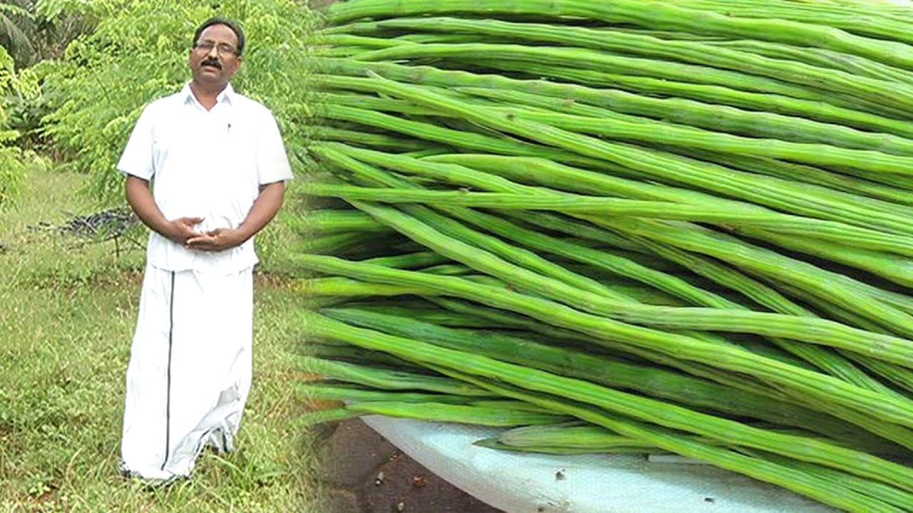 இயற்கை முறை விவசாய பொருட்களை எங்கே & எப்படி விற்க வேண்டும் ? | Malarum Bhoomi