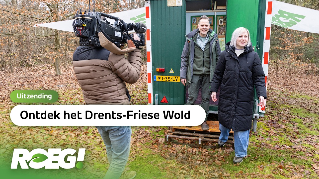 Op ontdekking in het Drents-Friese Wold | ROEG! Uitzending