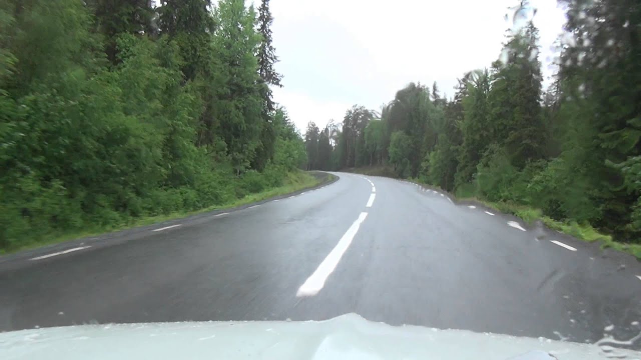 B&auml;verhult Menstr&auml;sk 365 Lappland Schweden Sweden 7.7.2015