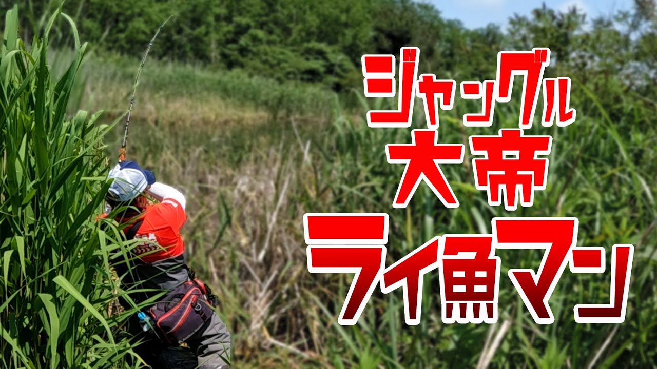 ジャングルすぎる沼地のエンペラーを求めて！