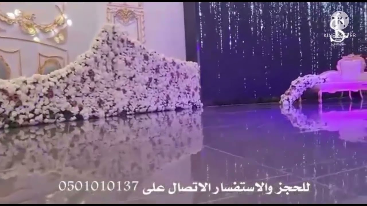 #قاعه#ليلة#لقي الطايف
