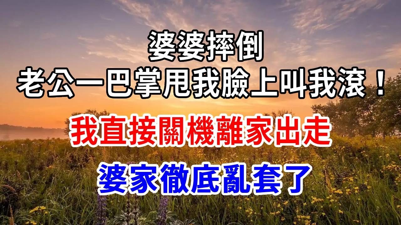 婆婆摔倒，老公一巴掌甩我臉上叫我滾！我直接關機離家出走，婆家徹底亂套了。