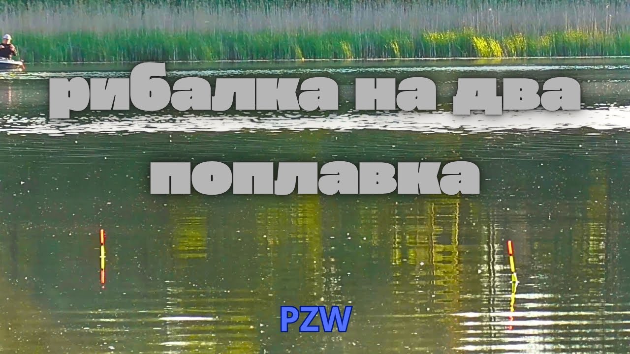Рибалка в Польщі на водах PZW двома вудками