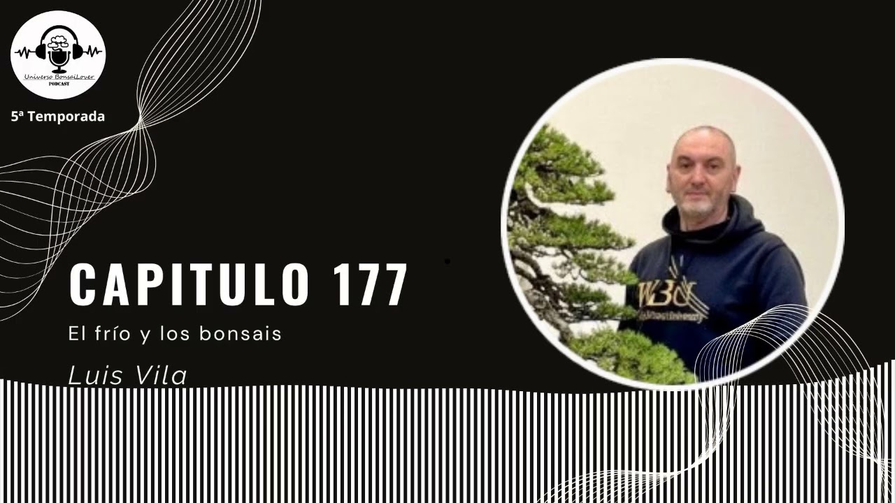 Capítulo 177.- El frio y los bonsais. Luis Vila