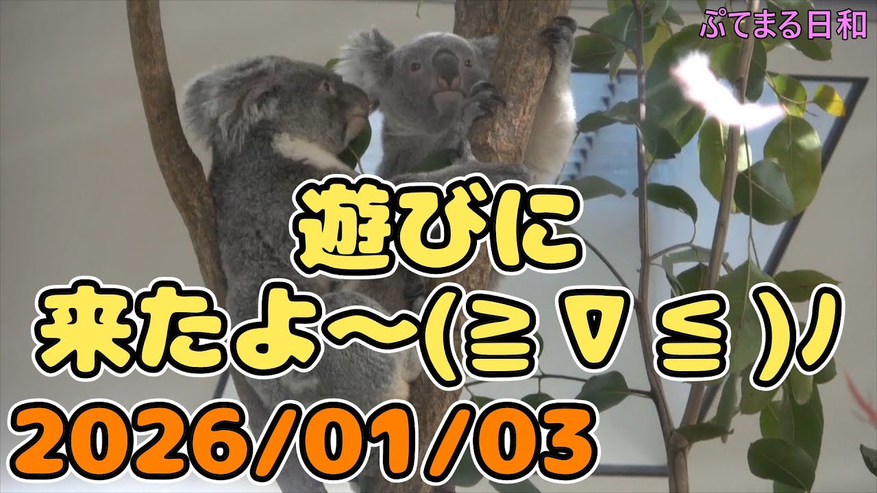 こはるちゃんとさちちゃん