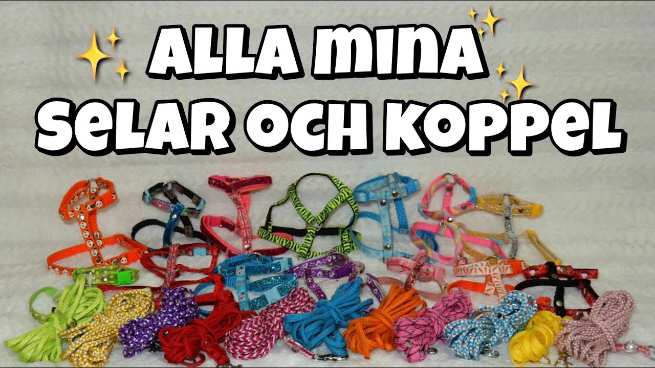 Alla mina selar och koppel