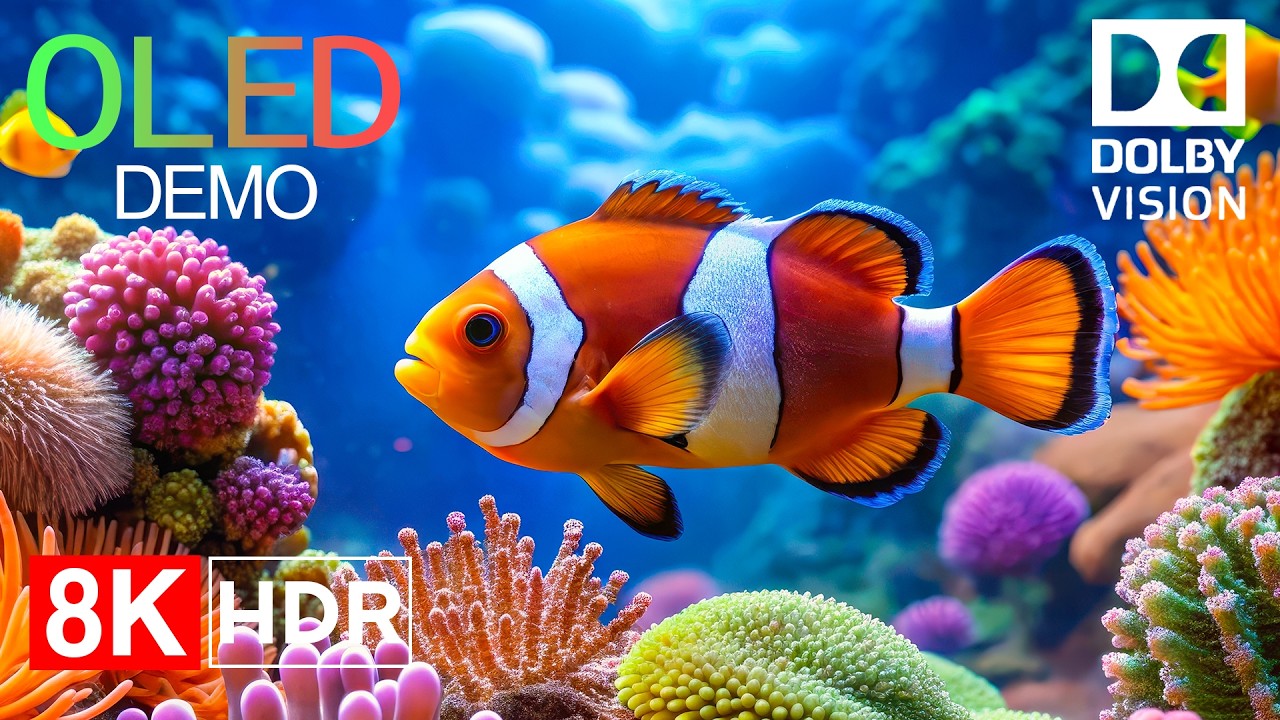 Deep Sea Fish — Relaxing Ocean Ambience in 8K