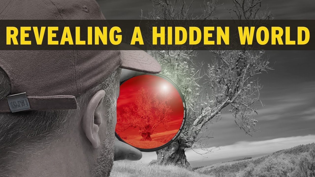 The Unseen World of Infrared Photography