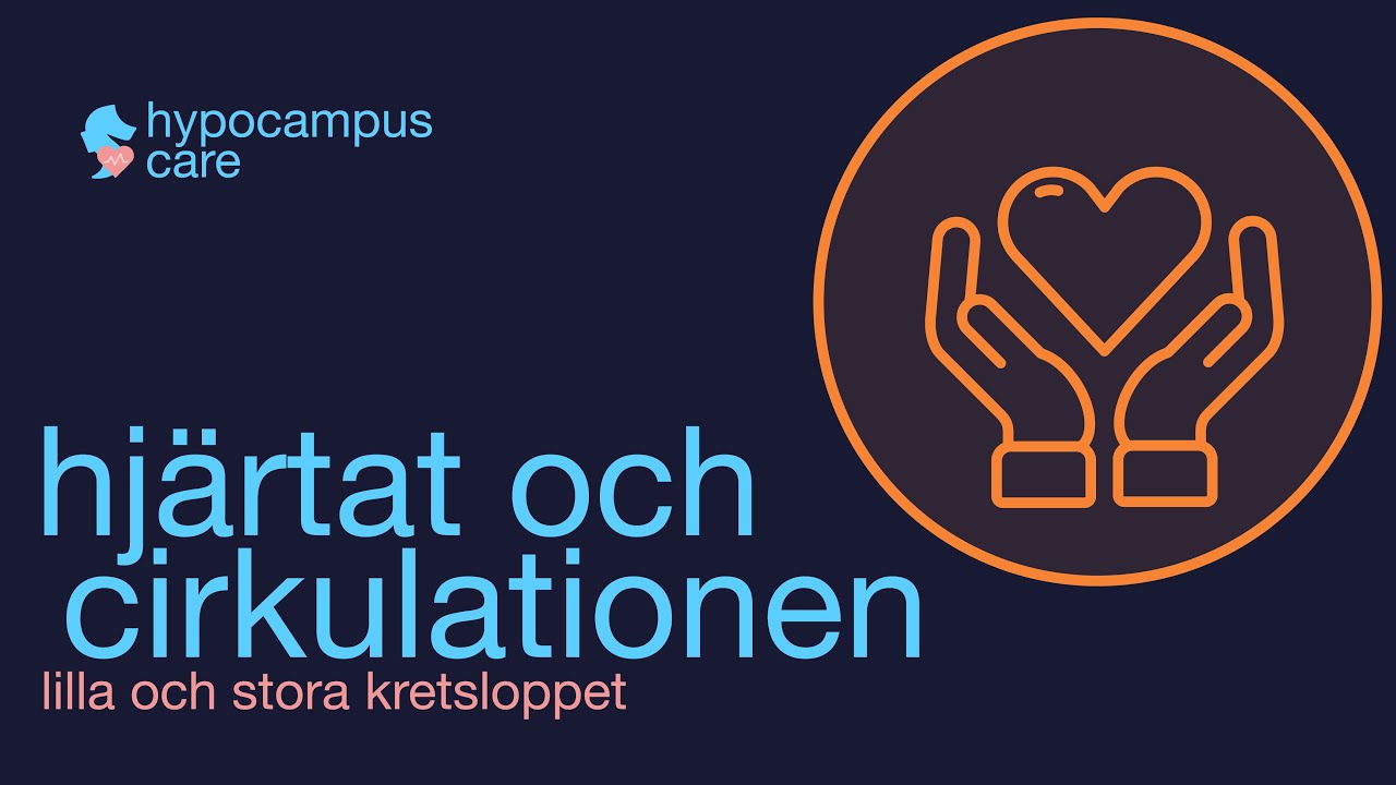 Hjärtat & cirkulationen (lilla och stora kretsloppet)