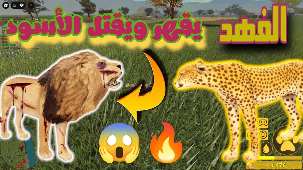 الفهد الذي لا يرحم يقتل اقوي المفترسين  ج2  #roblox     #savannahlife