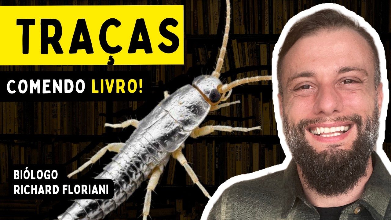 Traça de Livro: Como Eliminar de Verdade (Guia Técnico e Definitivo do Biólogo)