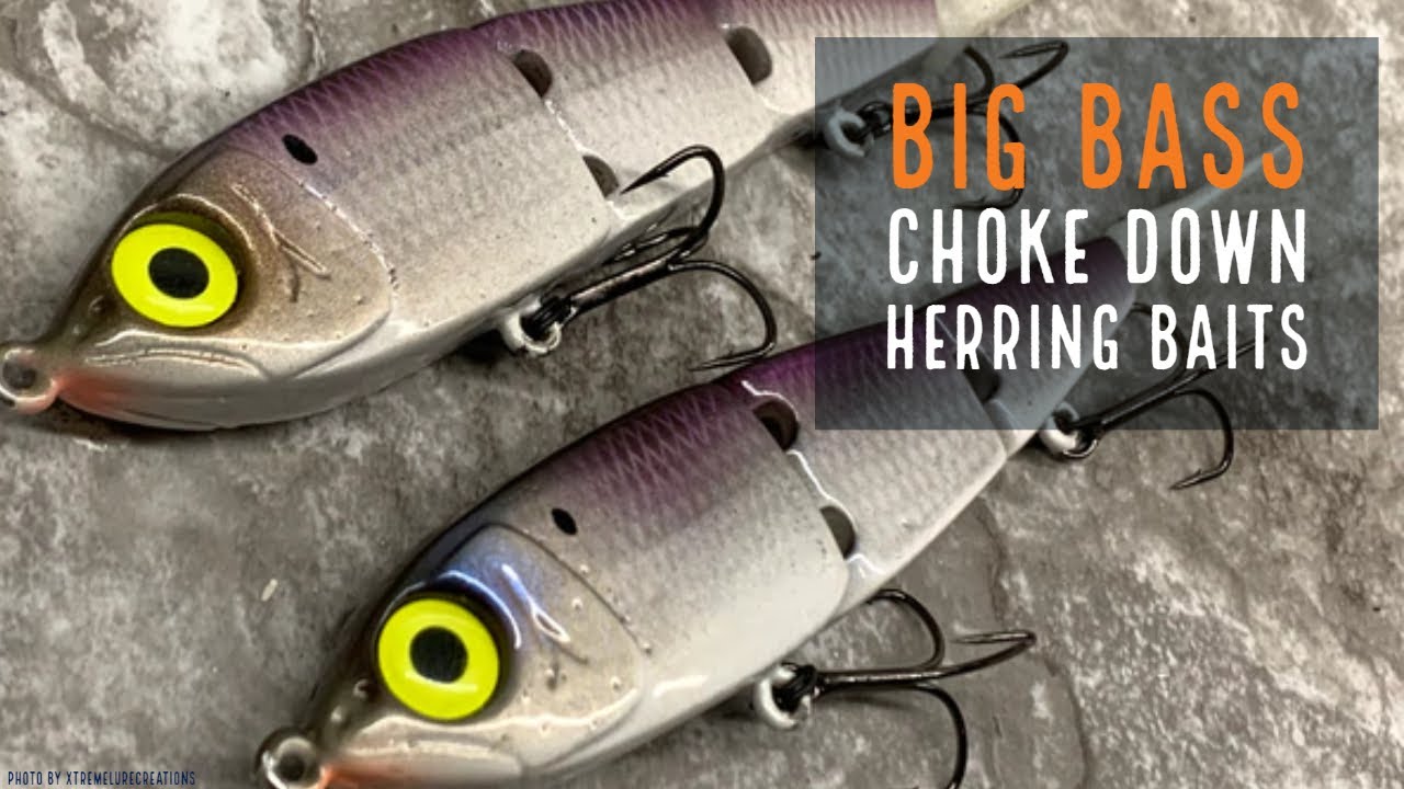 Southern Bass DEVOUR Blueback Herring