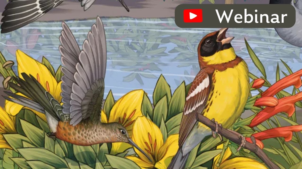 Native Plants and Bird-Friendly Gardening - World Migratory Bird Day Webinar