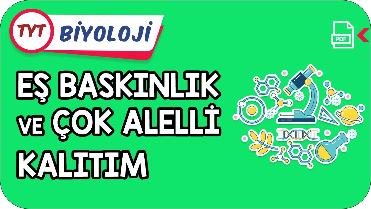 Eş Baskınlık ve Alelli Kalıtım | TYT Hızlanış Kampı    #Kamp2021