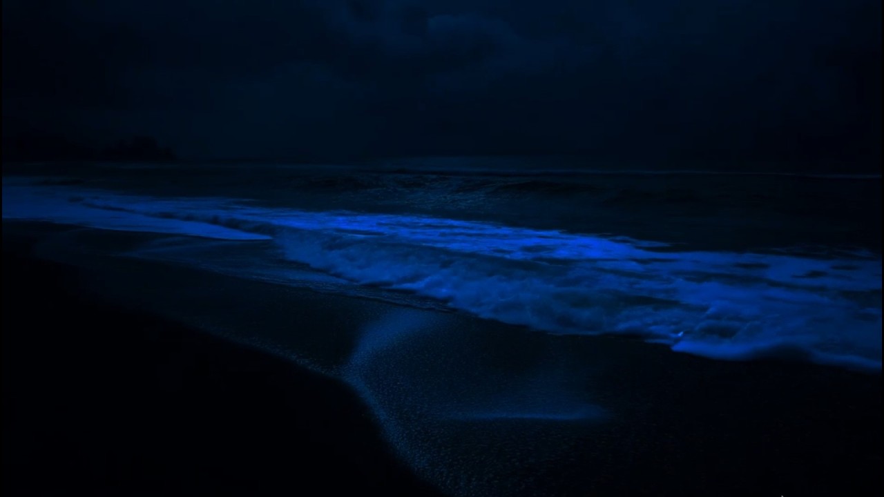 (No Ads) Deep Relaxation Music | Defeat Insomnia & Fall Asleep Instantly With Rolling Waves At Night