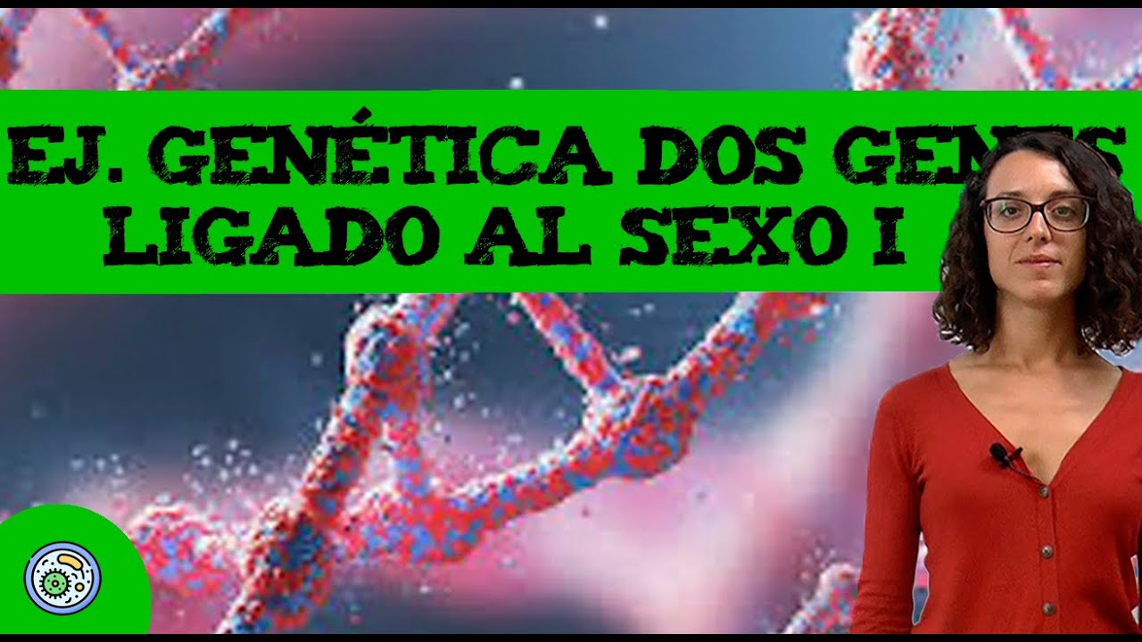 Ejercicio genética con dos genes 🧬 Ligado a sexo I