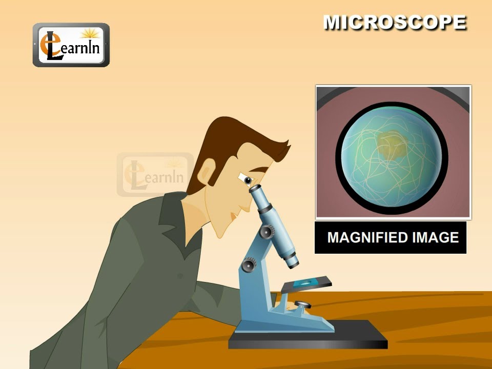 Microscope and its working - Science