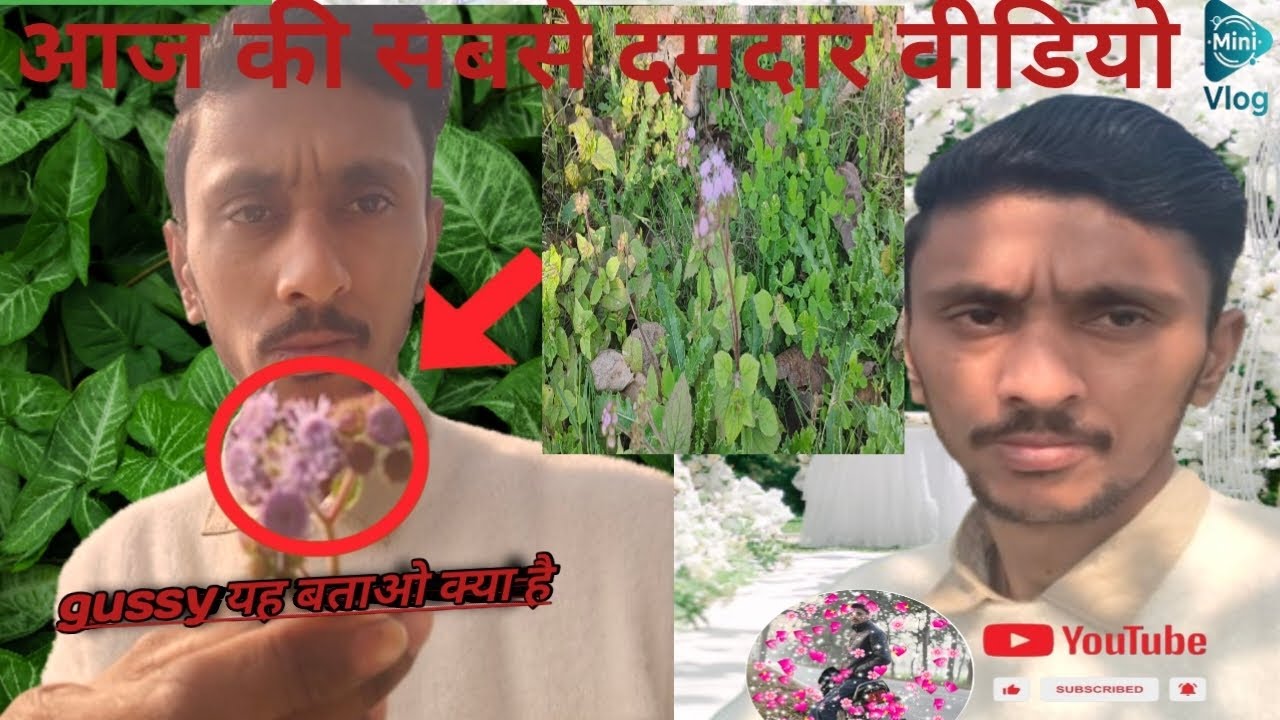 आज की सब से अच्छी #viralvideo विडियो को देखना न भूले //#न्यू #ब्लॉग  @kingyadavup22 