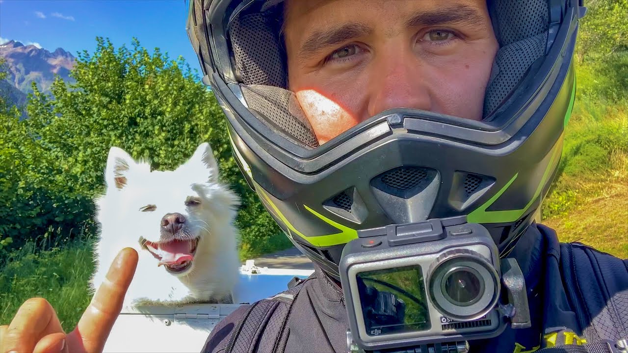 Dog on the Stelvio Pass! Motorcycling couple rides with pet dog RIDEVLOG