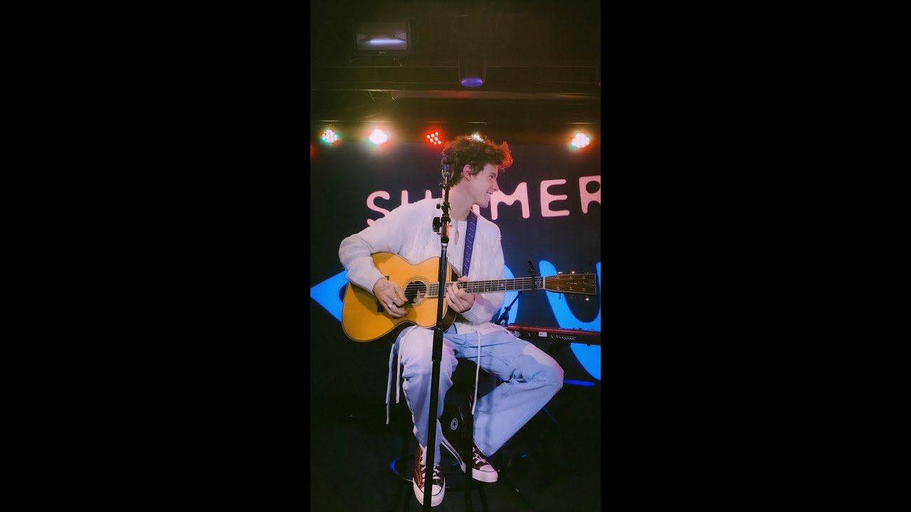 shawn mendes 