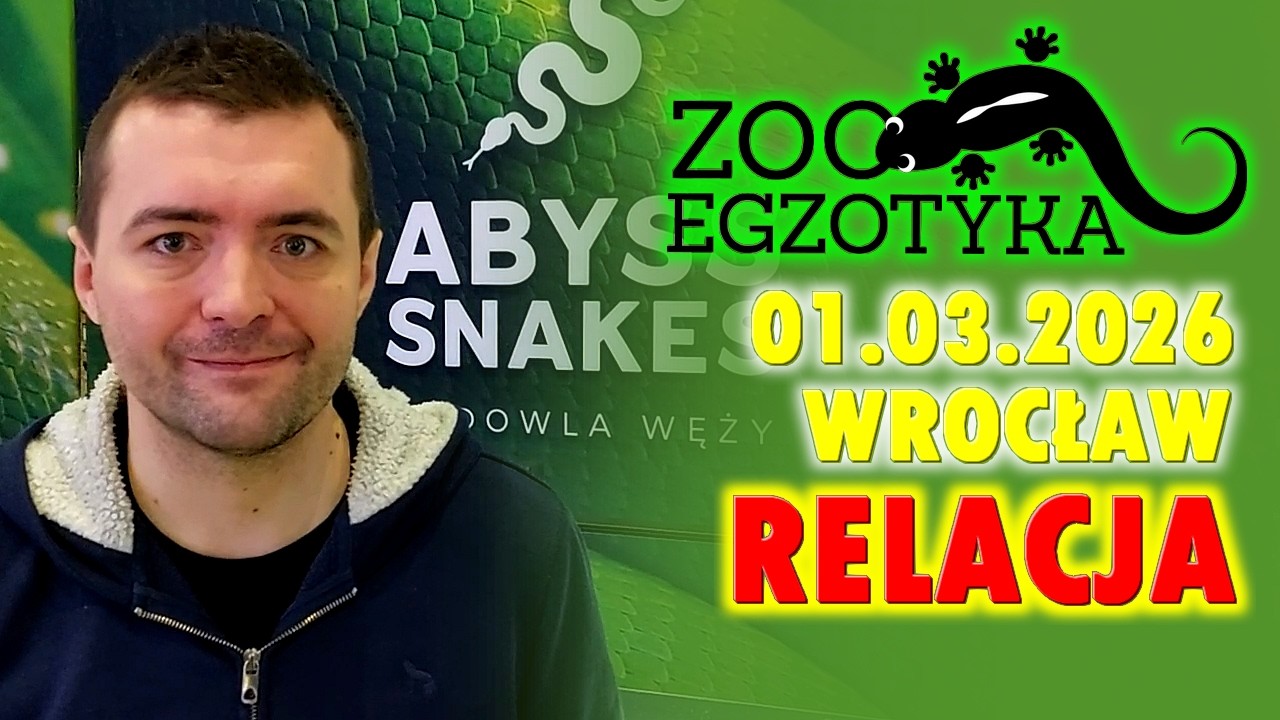 Zooegzotyka WROCŁAW 01.03.2026 - RELACJA