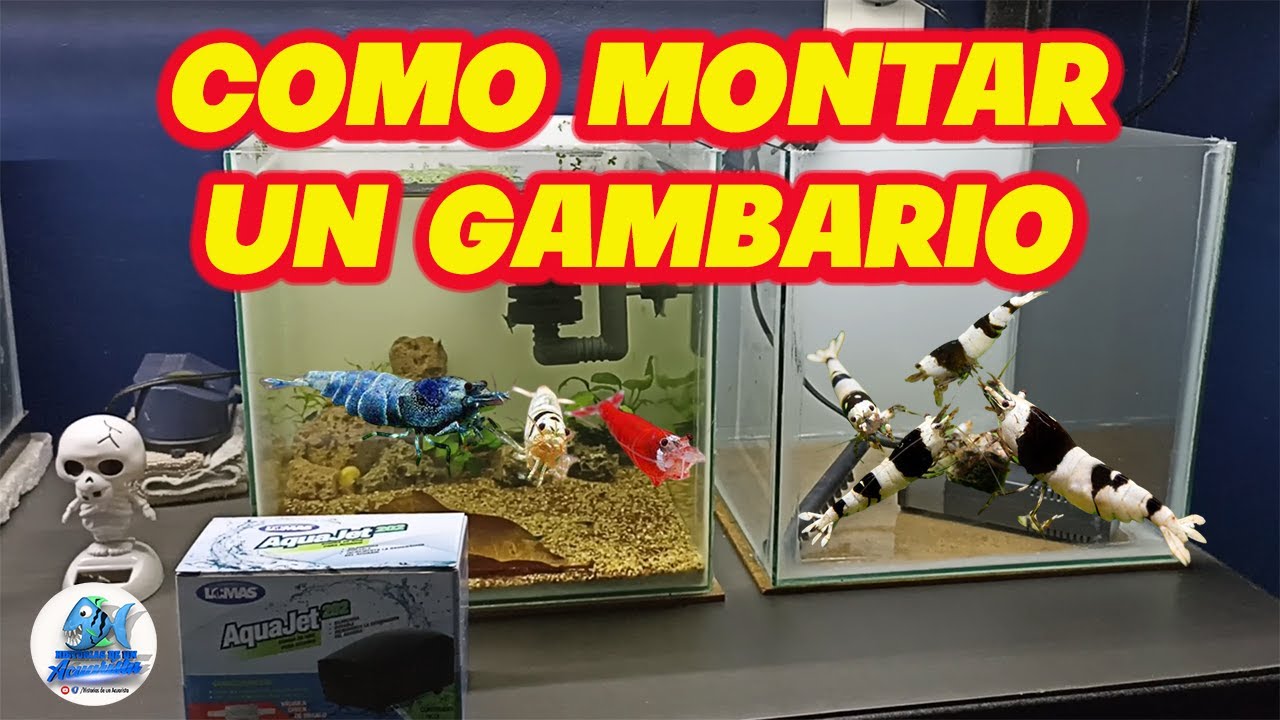 COMO MONTAR UN GAMBARIO
